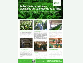 Imagen de Proceso-elaboracion-Yerba_mate-arg.pdf