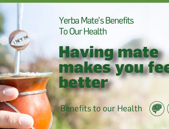Imagen de Flyer Having mate benefits A4-ENG.pdf