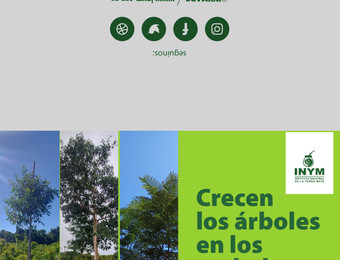 Imagen de Folleto-A4-Crecen-arboles-en-Yerbales.pdf