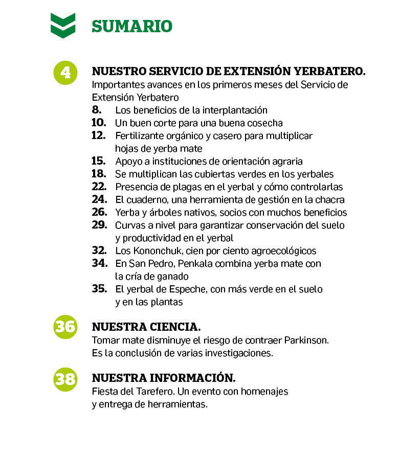 indice revista bien nuestro 39