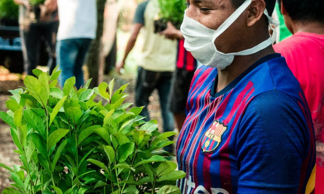 La comunidad guaraní ya inició la plantación de las mudas de yerba mate La comunidad guaraní ya inició la plantación de las mudas de yerba mate