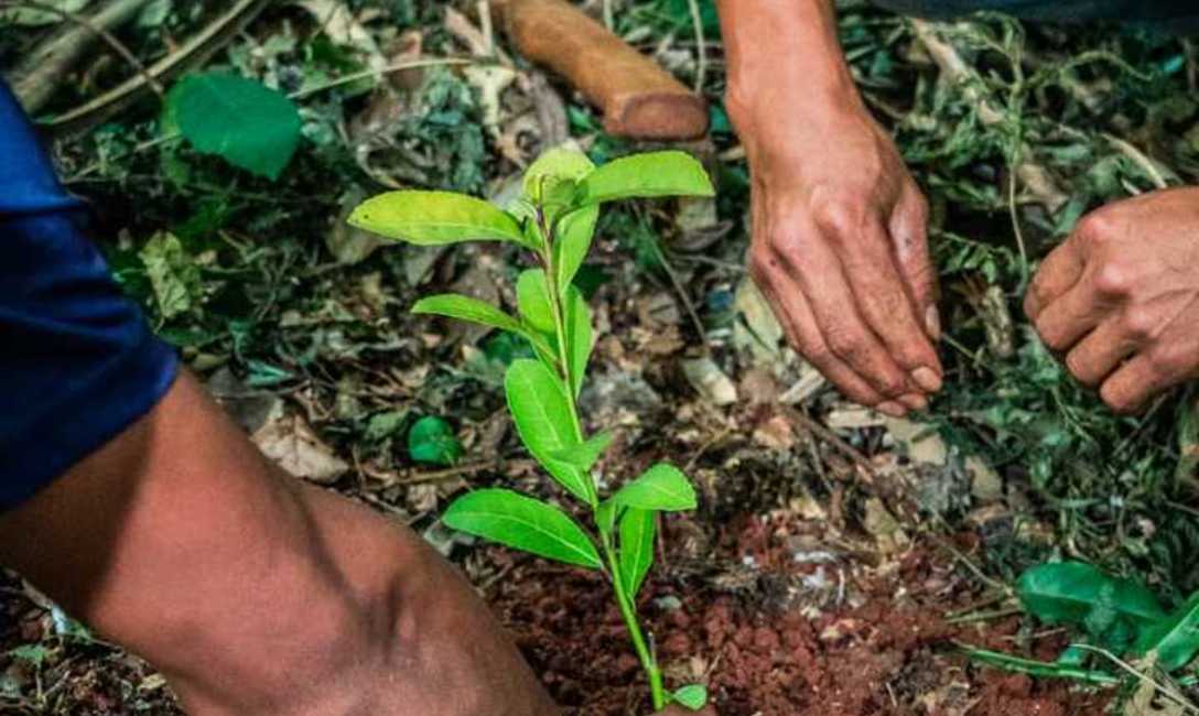 Imagen de Apoyamos proyecto de identidad en comunidad guaraní Imagen de Apoyamos proyecto de identidad en comunidad guaraní