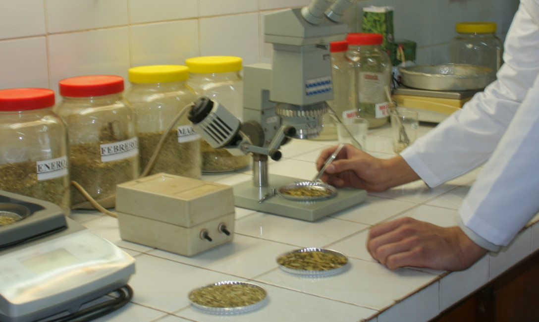 Imagen de Estudio cient&iacute;fico evidencia los beneficios de yerba mate fortificada con magnesio