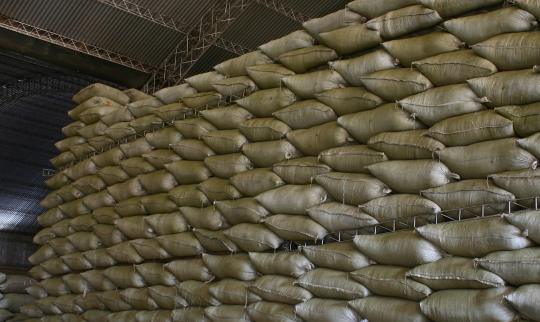 Imagen de Sumamos una década de trabajo conjunto con el Ministerio de Salud Pública Imagen de Sumamos una década de trabajo conjunto con el Ministerio de Salud Pública