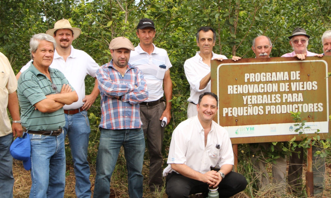 Imagen de Funcionario del Ministerio de Agroindustria recorrió yerbales del Programa “3x1” Imagen de Funcionario del Ministerio de Agroindustria recorrió yerbales del Programa “3x1”