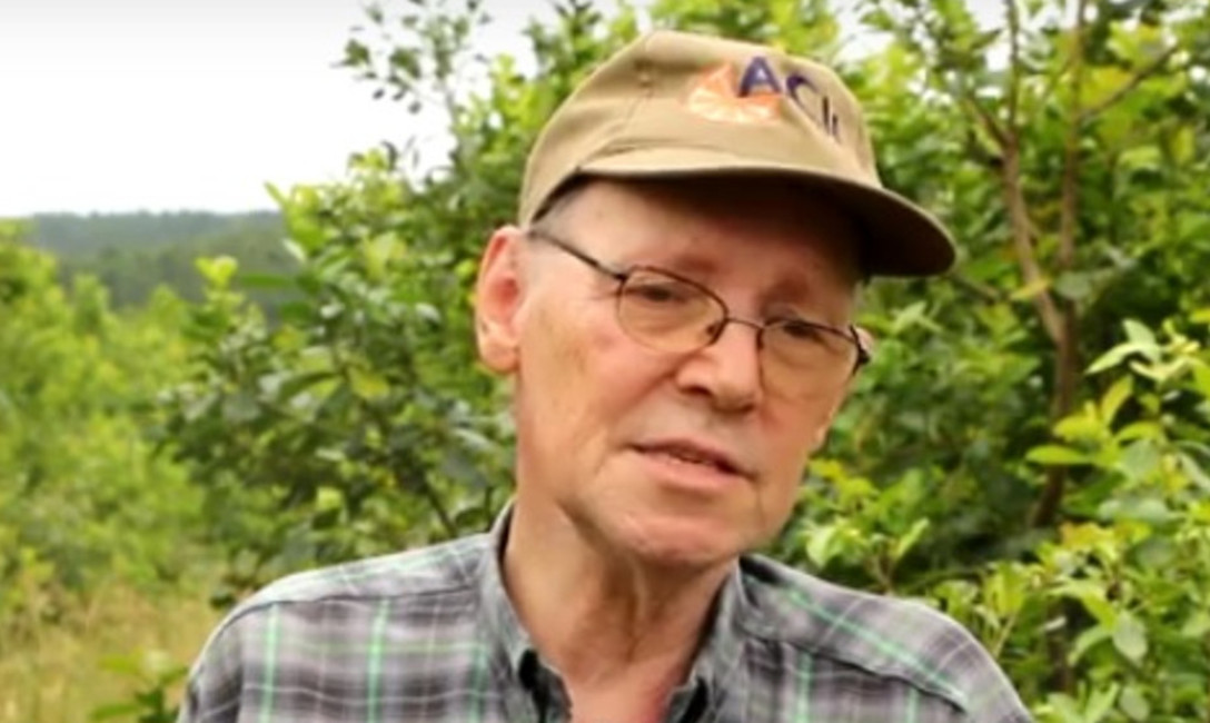 Imagen de Manejo integrado en yerbales, combinación de plantas y suelo Imagen de Manejo integrado en yerbales, combinación de plantas y suelo