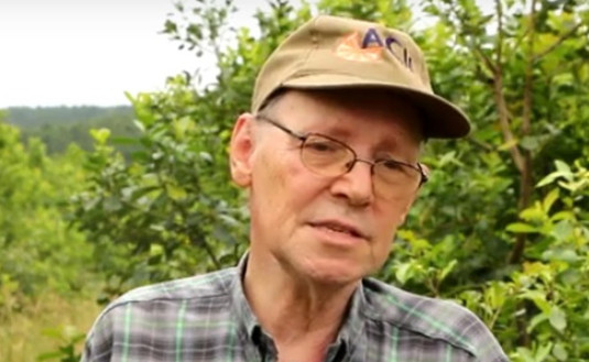 Imagen de Manejo integrado en yerbales, combinación de plantas y suelo