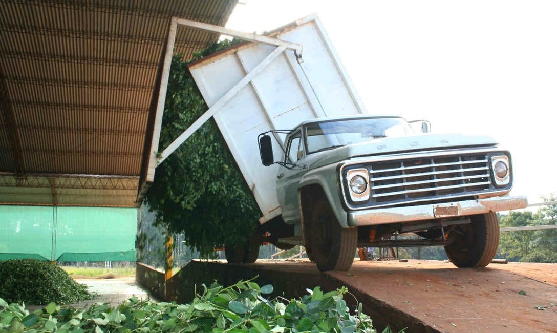 Imagen de Carga a granel de hoja verde