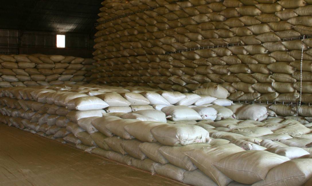 Imagen de Inspecciones del INYM ratifican el stock de yerba mate canchada Imagen de Inspecciones del INYM ratifican el stock de yerba mate canchada