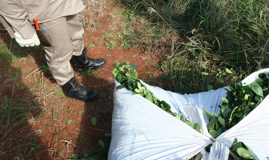 Imagen de El INYM busca mejorar la implementación de la Corresponsabilidad Gremial Imagen de El INYM busca mejorar la implementación de la Corresponsabilidad Gremial