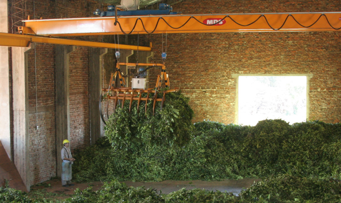 Imagen de El INYM pone en marcha, con el IRAM, el programa de Buenas Pr&aacute;cticas para Secaderos 