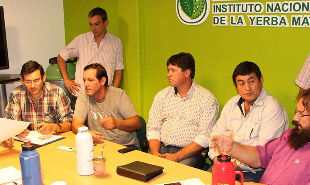 Imagen de Primera reuni&oacute;n entre la Comisi&oacute;n Asesora y el Presidente del INYM