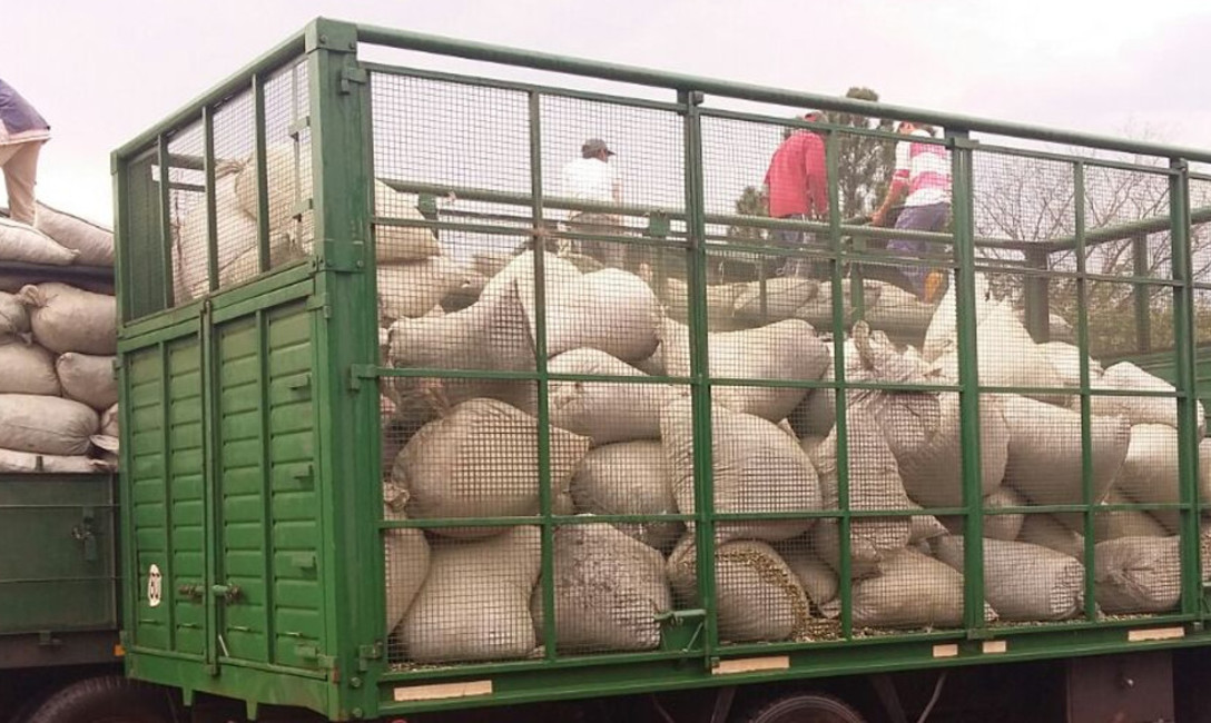 Imagen de Con apoyo de GN, el INYM decomis&oacute; palitos de yerba mate