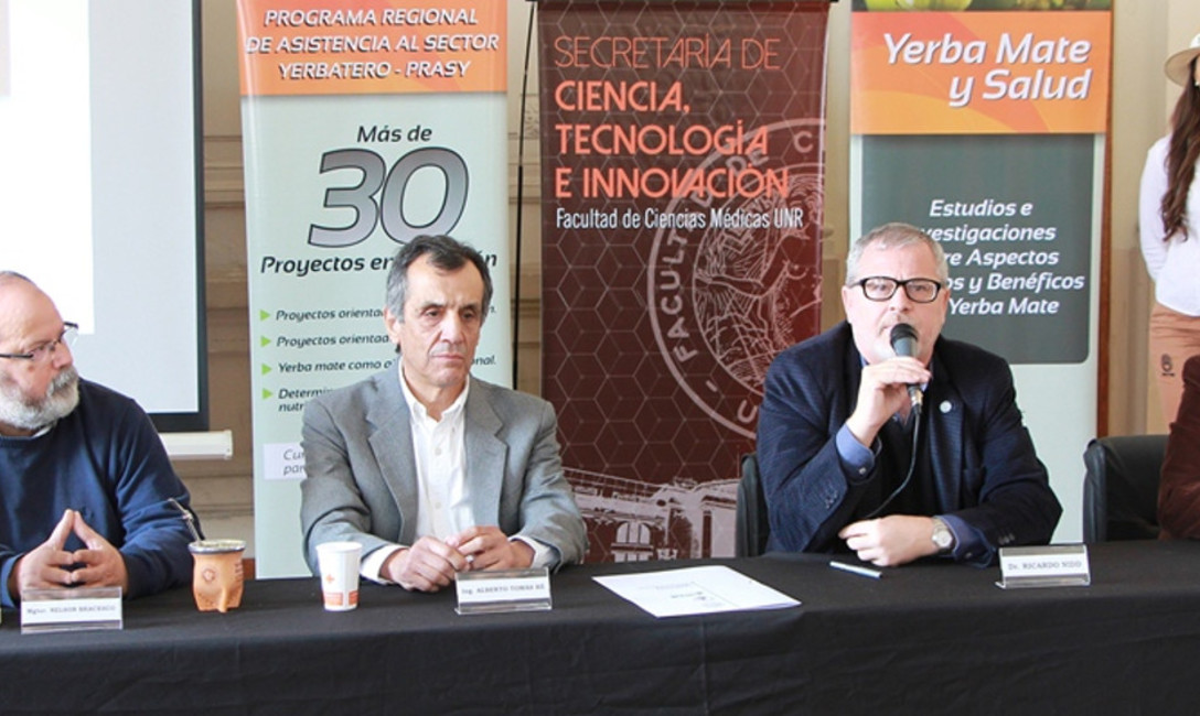 Imagen de Hay un despertar de la ciencia con el tema yerba mate ?