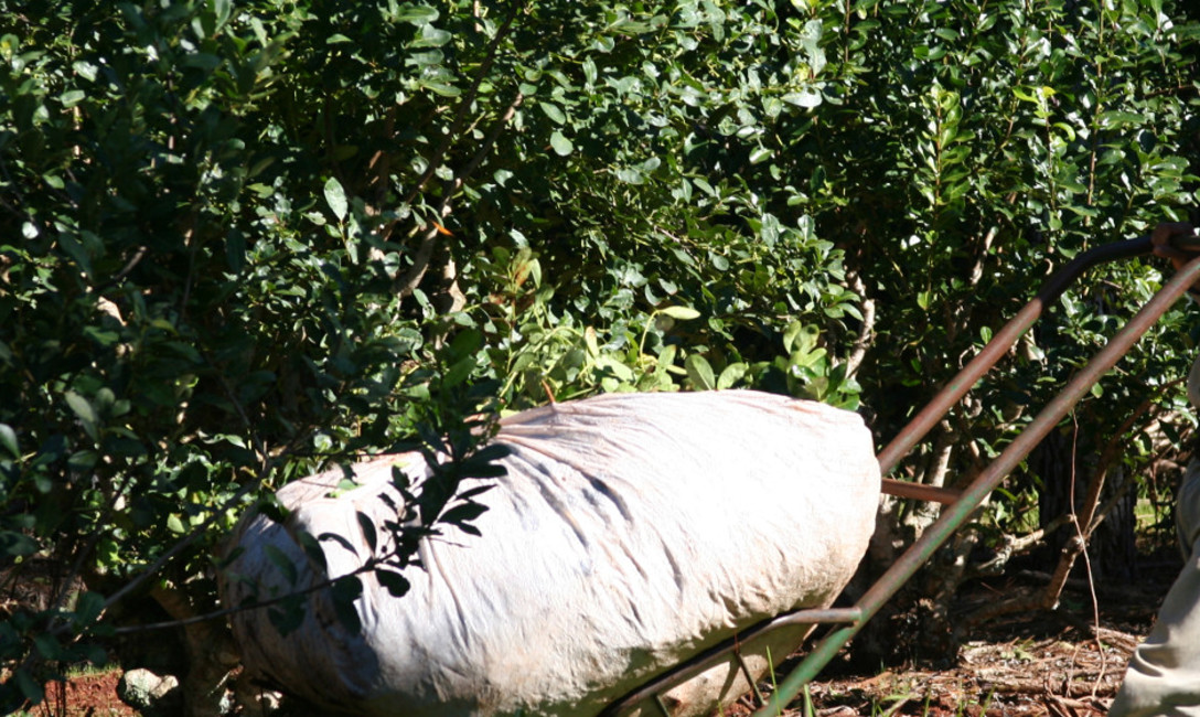Imagen de Oficinas m&oacute;viles en San Javier, Florentino Ameghino y Campo Grande