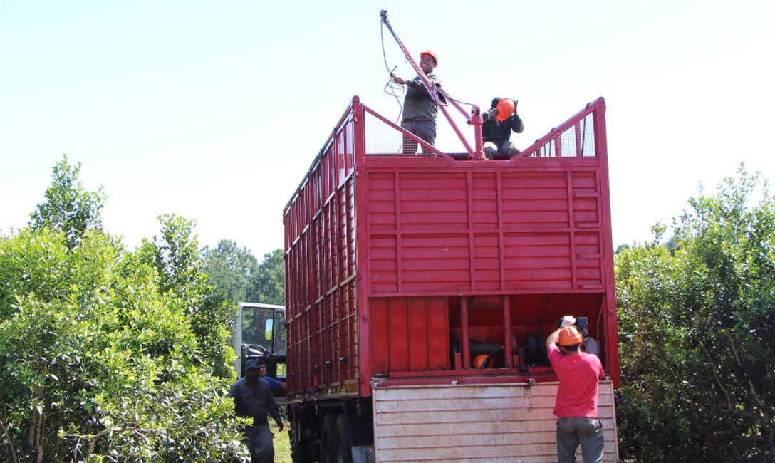 Imagen de El Directorio consensu&oacute; por unanimidad los valores de la materia prima