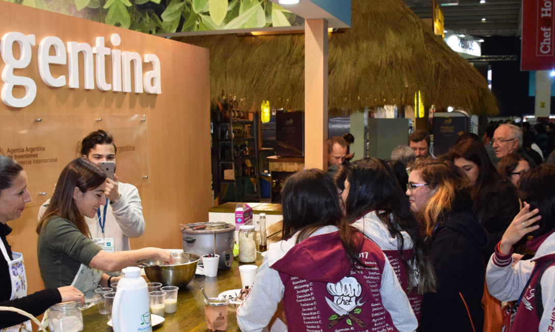 Imagen de La yerba mate argentina avanza a paso firme en el mercado chileno Imagen de La yerba mate argentina avanza a paso firme en el mercado chileno