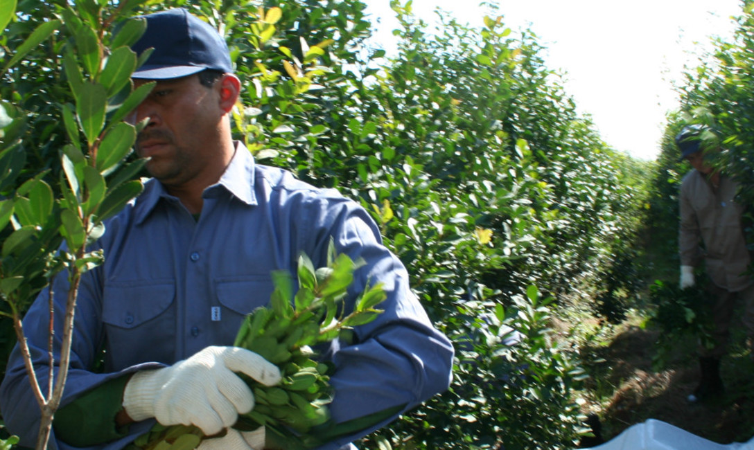 Imagen de Se extiende hasta el 31 de octubre el plazo para Inscripci&oacute;n registro entidades y asociaciones