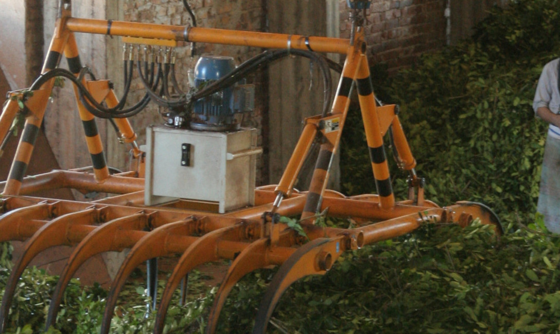 Imagen de El INYM ofrecer&aacute; una Jornada  de Innovaci&oacute;n Tecnol&oacute;gica en Yerba Mate 