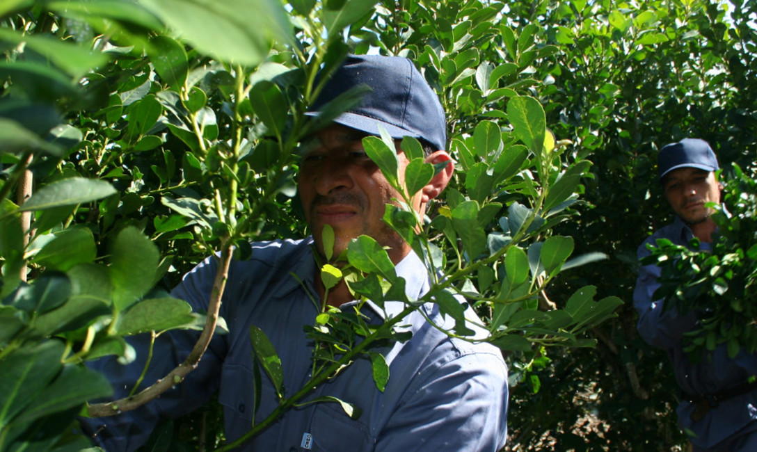 Imagen de Convocatoria a proveedores de tijeras electrónicas Imagen de Convocatoria a proveedores de tijeras electrónicas