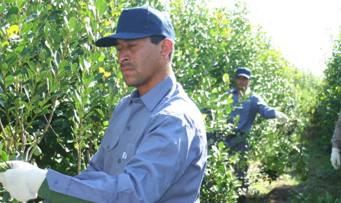 Imagen de El INYM pone en marcha el Programa de Tijeras Automáticas Imagen de El INYM pone en marcha el Programa de Tijeras Automáticas