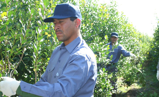 Imagen de El INYM pone en marcha el Programa de Tijeras Automáticas