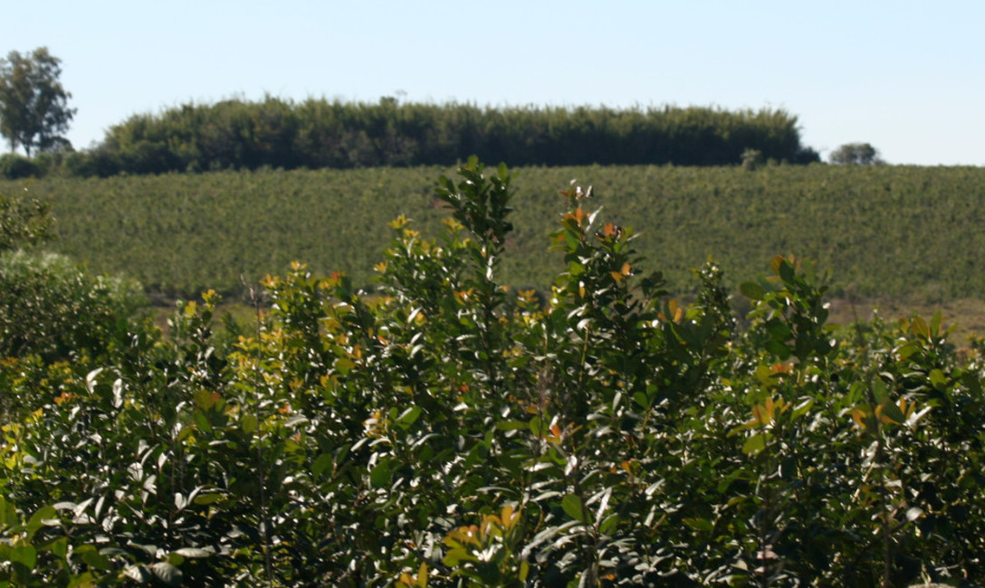 Imagen de El martes continuará la sesión de precios Imagen de El martes continuará la sesión de precios