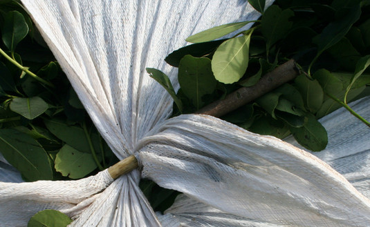 Imagen de Capacitación en Buenas Prácticas para Secaderos