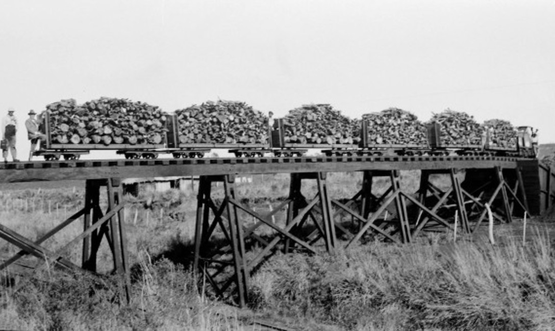 El tren traía leña desde la estancia San Cristóbal para secar la yerba mate en los Barbacuá de Estancia Santa Inés, Foto:Ramón Ruda Dorrego. El tren traía leña desde la estancia San Cristóbal para secar la yerba mate en los Barbacuá de Estancia Santa Inés, Foto:Ramón Ruda Dorrego.