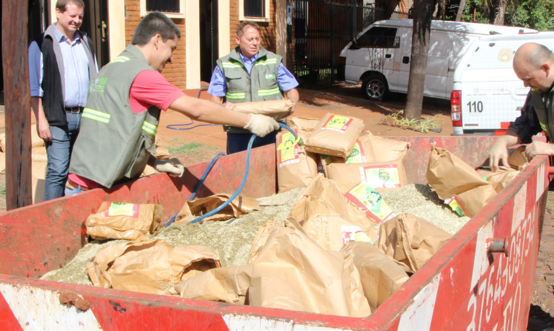 Imagen de Se detect&oacute; e inutiliz&oacute; yerba 
