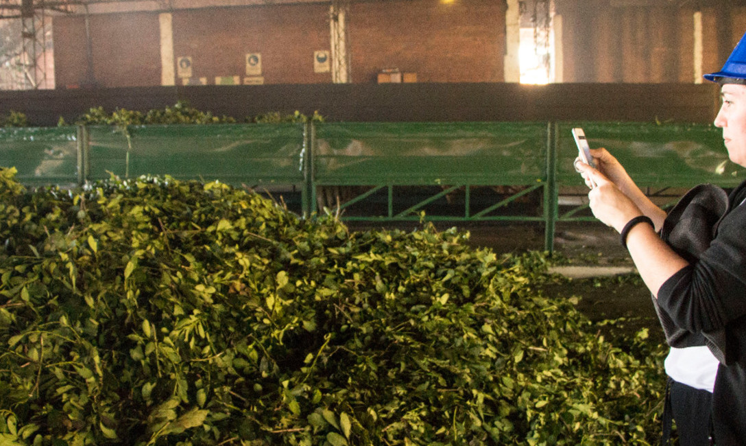 Imagen de "Venimos a vivir el Mate desde la tierra" Imagen de "Venimos a vivir el Mate desde la tierra"