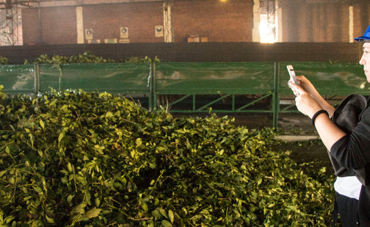 Imagen de "Venimos a vivir el Mate desde la tierra"