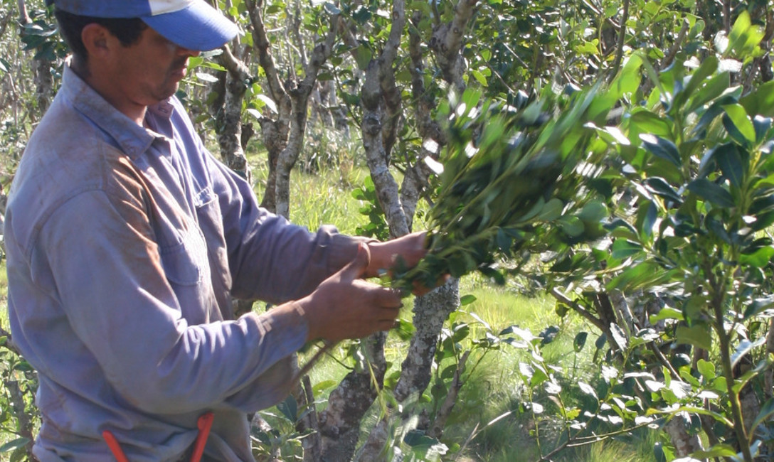 Imagen de Inscripción de productores Imagen de Inscripción de productores