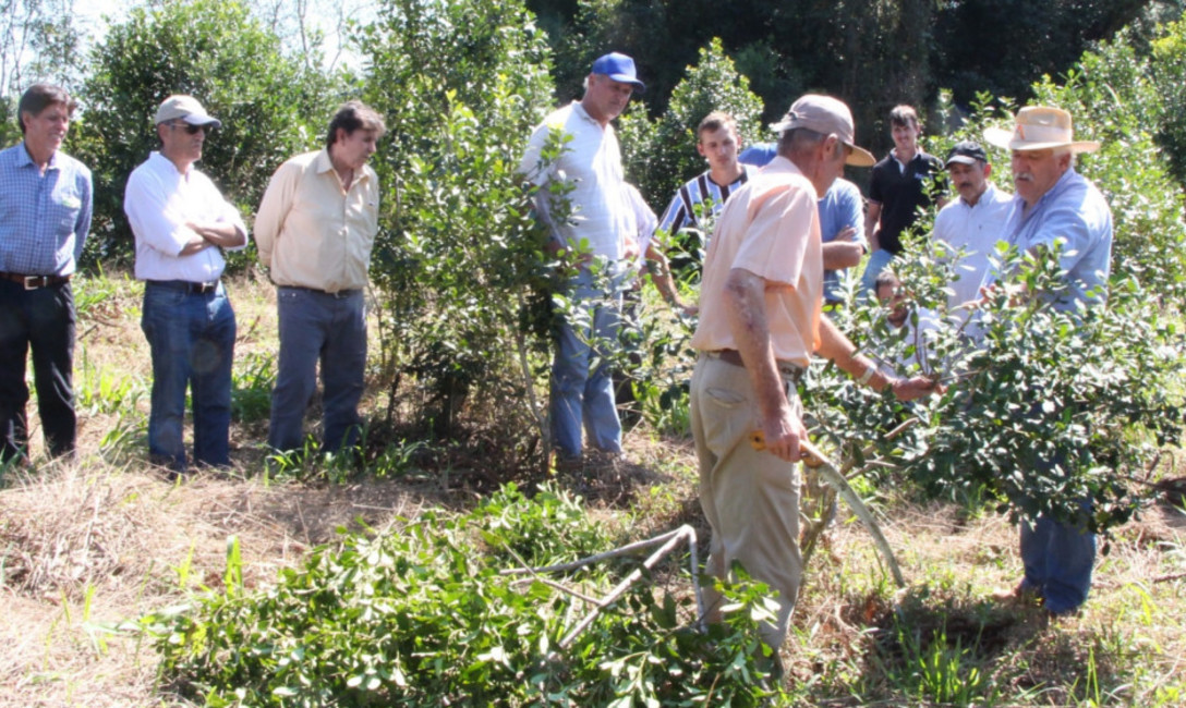 Imagen de Capacitación para mejores cosechas Imagen de Capacitación para mejores cosechas