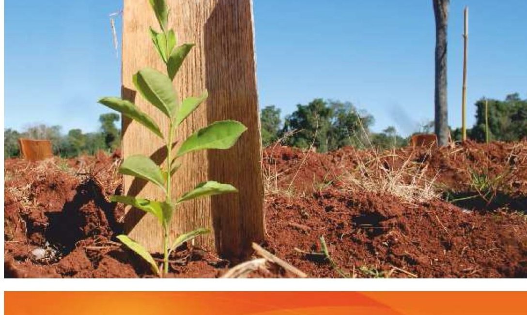 Imagen de Sostenida recuperaci&oacute;n en el ingreso de hoja verde a secaderos