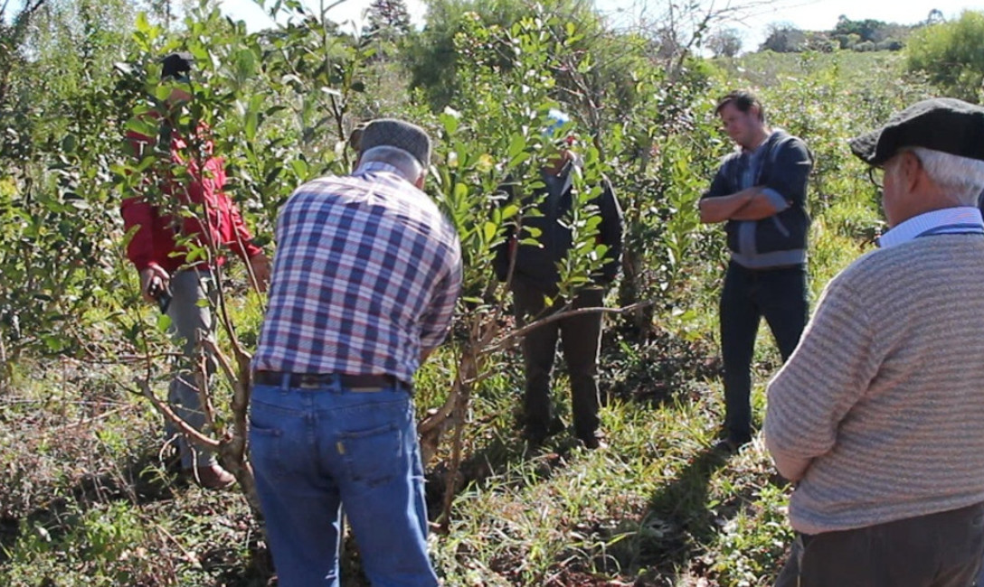 Imagen de Capacitación a productores Imagen de Capacitación a productores