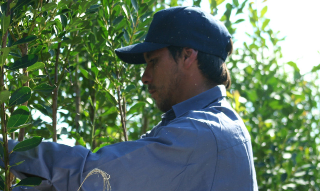 Imagen de Se discontinúa la provisión de indumentaria para cosecheros Imagen de Se discontinúa la provisión de indumentaria para cosecheros