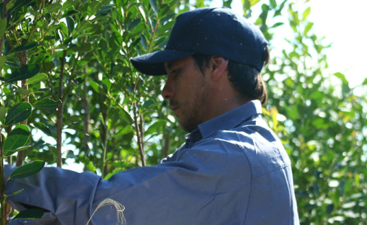 Imagen de Se discontinúa la provisión de indumentaria para cosecheros