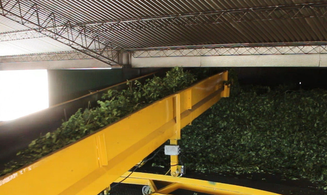 Imagen de Seis secaderos recibirán los certificados en BPM del IRAM Imagen de Seis secaderos recibirán los certificados en BPM del IRAM