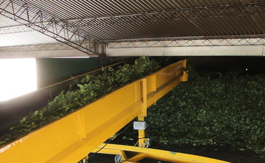 Imagen de Seis secaderos recibirán los certificados en BPM del IRAM 