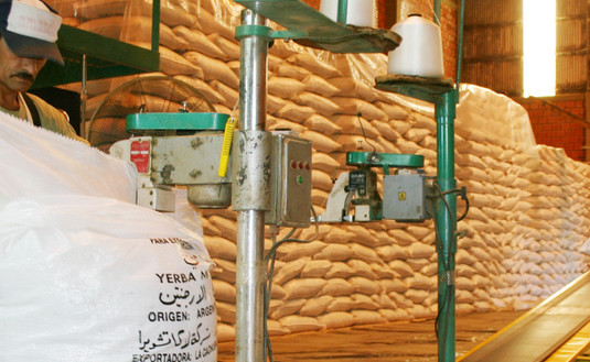 Imagen de Récord en las exportaciones de yerba mate