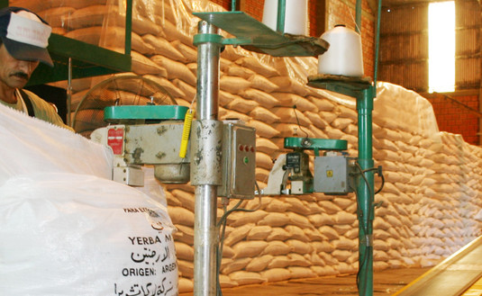 Imagen de El consumo de yerba mate aumentó un 3,5%