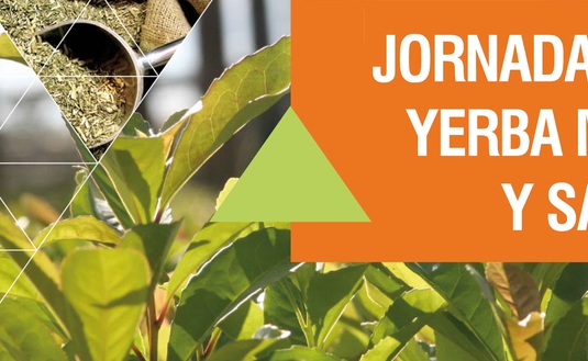 Imagen de En Chile el mate también hace bien