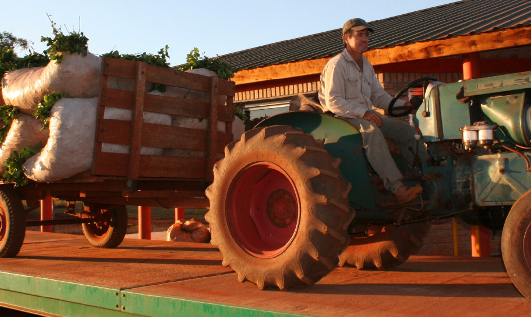 Imagen de Se prorrogó la presentación del certificado de aprobación de balanzas Imagen de Se prorrogó la presentación del certificado de aprobación de balanzas
