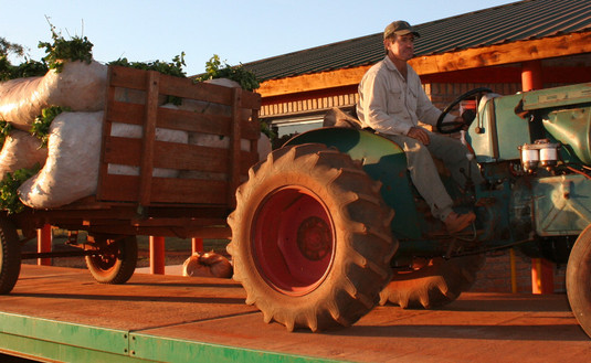 Imagen de Se prorrogó la presentación del certificado de aprobación de balanzas
