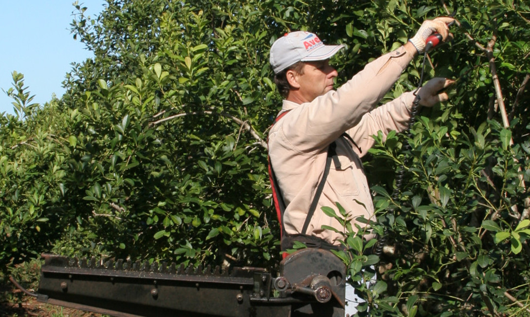 Imagen de Ampliamos programa tijeras electrónicas Imagen de Ampliamos programa tijeras electrónicas