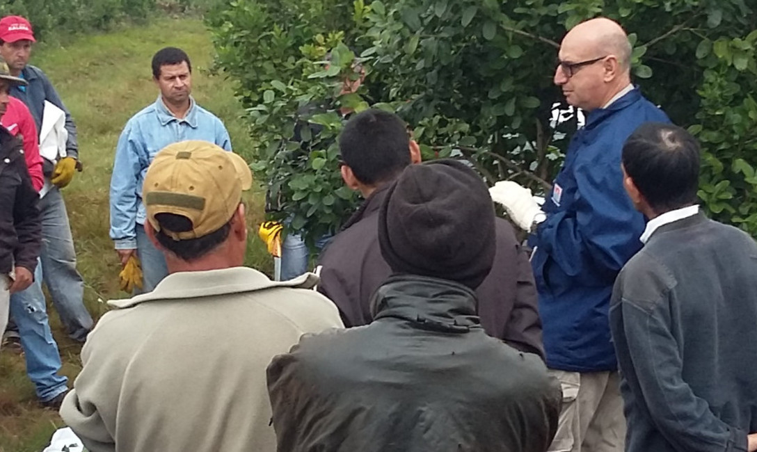 Imagen de Capacitaci&oacute;n a tareferos