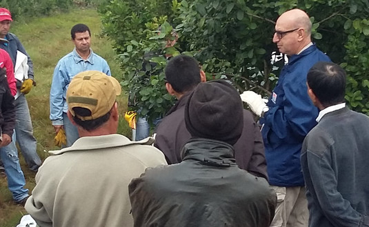 Imagen de Capacitación a tareferos