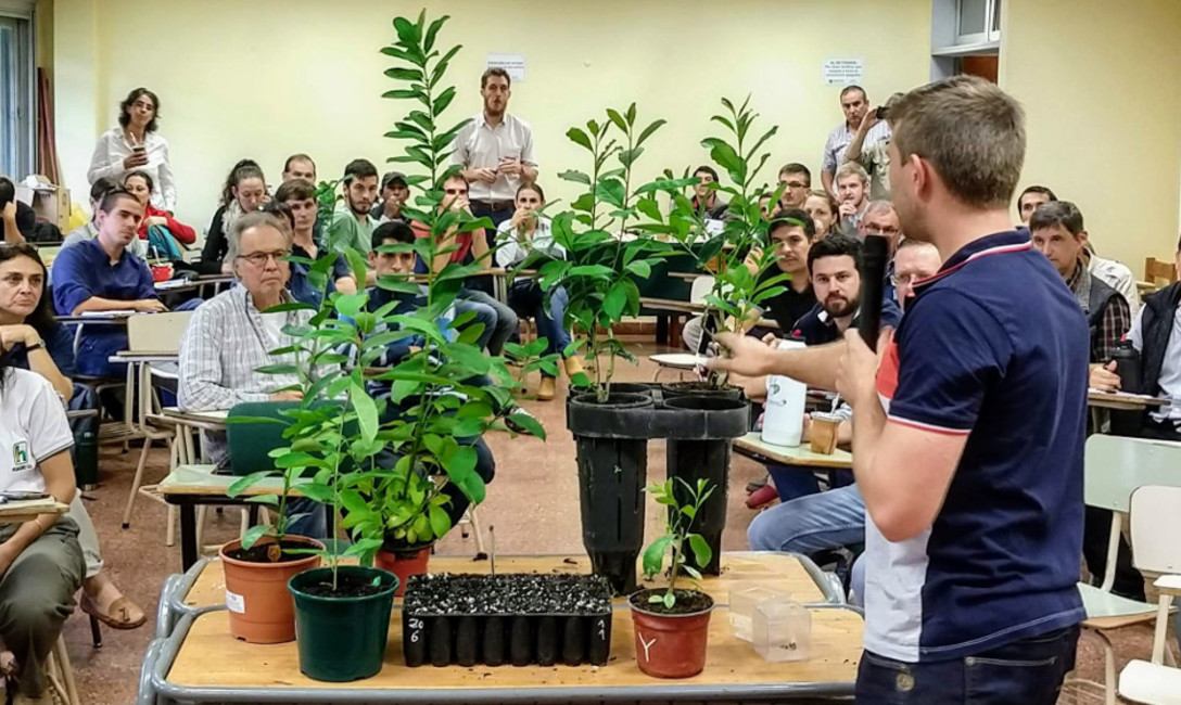 Imagen de Presentamos manual de propagaci&oacute;n vegetativa de plantines