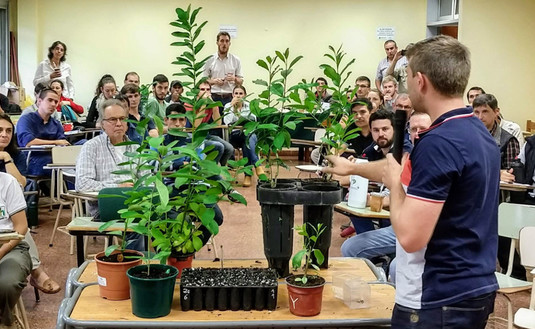 Imagen de Presentamos manual de propagación vegetativa de plantines